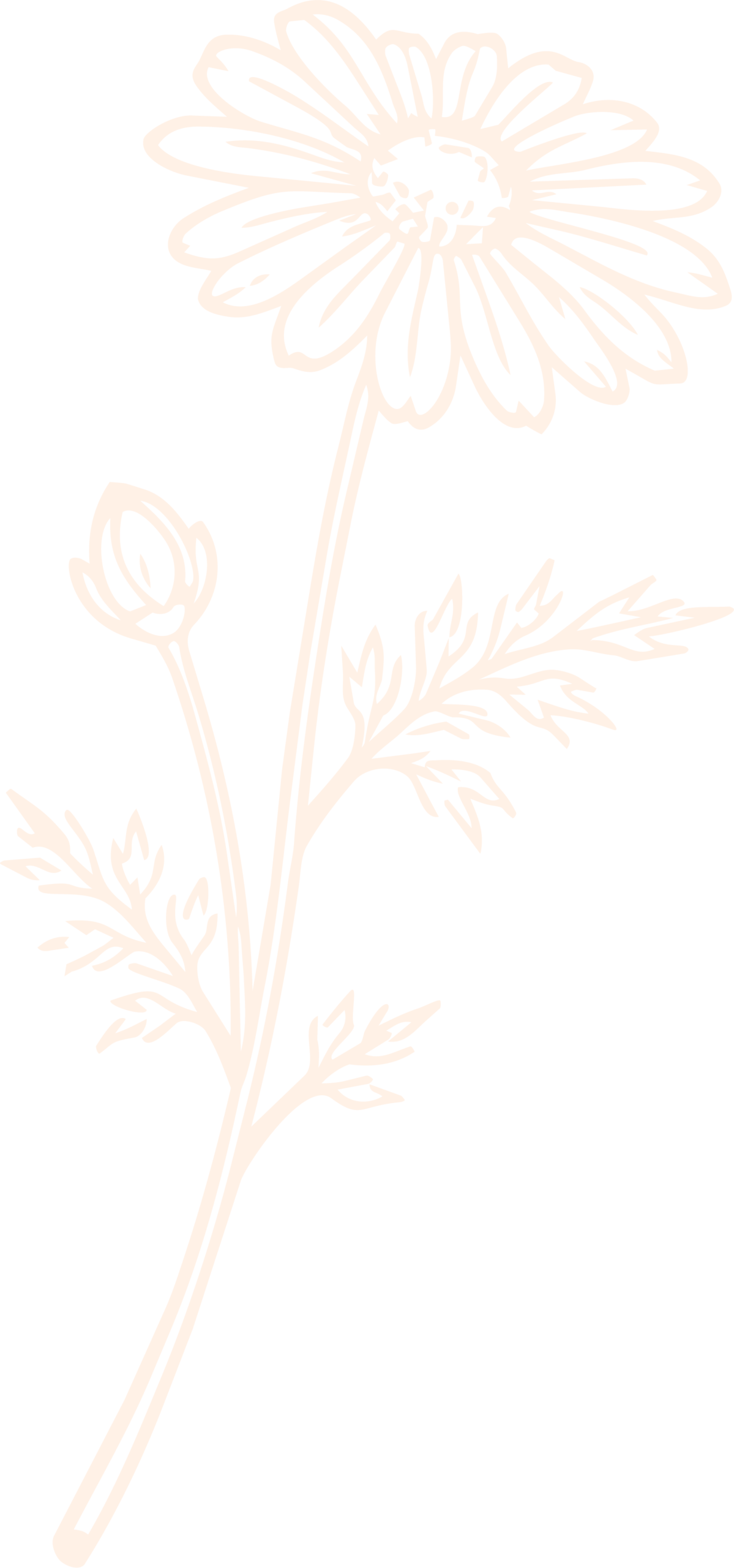 Flor Camomila 4
