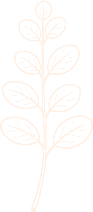 Eucalipto 4