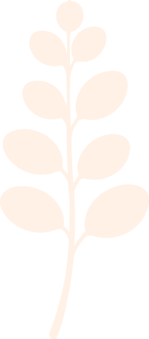 Eucalipto 4.2